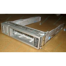 Салазки Sun 350-1386-04 в Коломне, 330-5120-04 1 для HDD (Коломна)