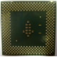 Процессор Intel Celeron 1000A SL5ZF (1000MHz /256kb /100MHz /1.475 V) s370 (Коломна)
