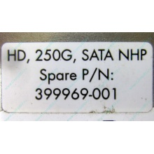 HP 250G 7.2k 432337-001/ 399699-001 / 397377-004 SATA HDD (Коломна)