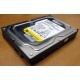 Жесткий диск 160Gb WD WD1602ABKS SATA (Коломна)