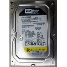 Жесткий диск 160Gb WD WD1602ABKS SATA (Коломна)