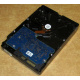 Электроника HDD 500Gb Hitachi HDS721050DLE630 (Коломна)