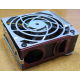HP 224977 (224978-001) for Proliant ML370 G2/G3/G4 (Коломна).