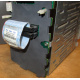 HP 365664-001 кабель SCSI для корзины 373108-001 / 359719-001 HP ML370G4 (Коломна)