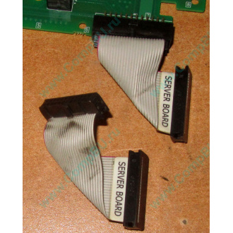6017B0045701 Шлейф 24 pin для Intel C74974-401 T0043401-B01 корпуса SR2400 (Коломна)