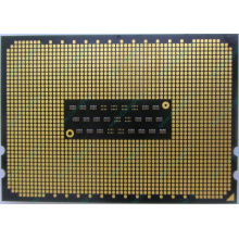 AMD Opteron 6128 OS6128WKT8EGO (Коломна)